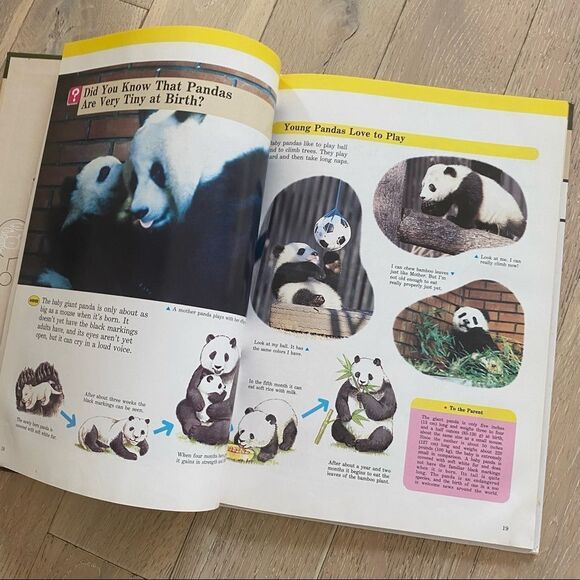 Children's Book Set Animals - Picture 11 of 16